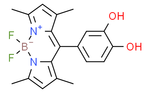 10-(3,4-dihydroxyphenyl)-5,5-difluoro-1,3,7,9-tetramethyl-5H-dipyrrolo[1,2-c:2',1'-f][1,3,2]diazaborinin-4-ium-5-uide